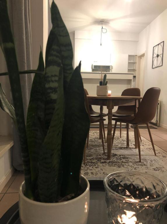 Apartmán Suikerrui 2 Antverpy Exteriér fotografie