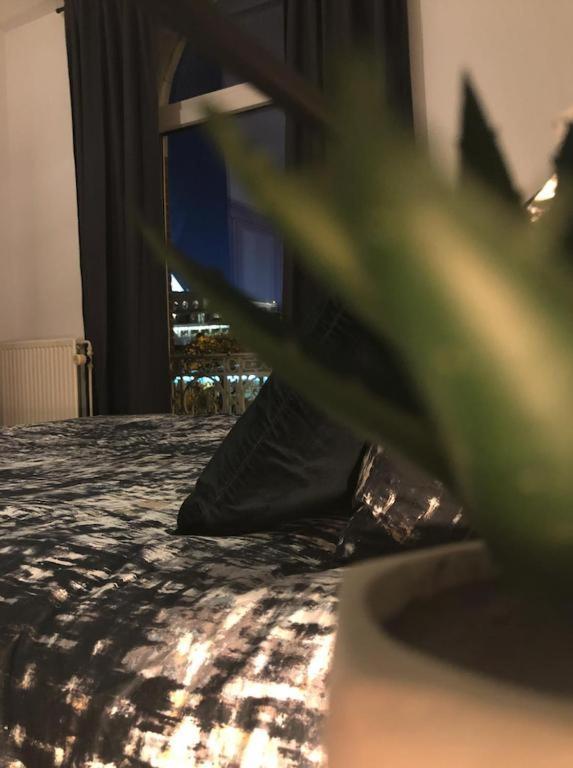 Apartmán Suikerrui 2 Antverpy Exteriér fotografie